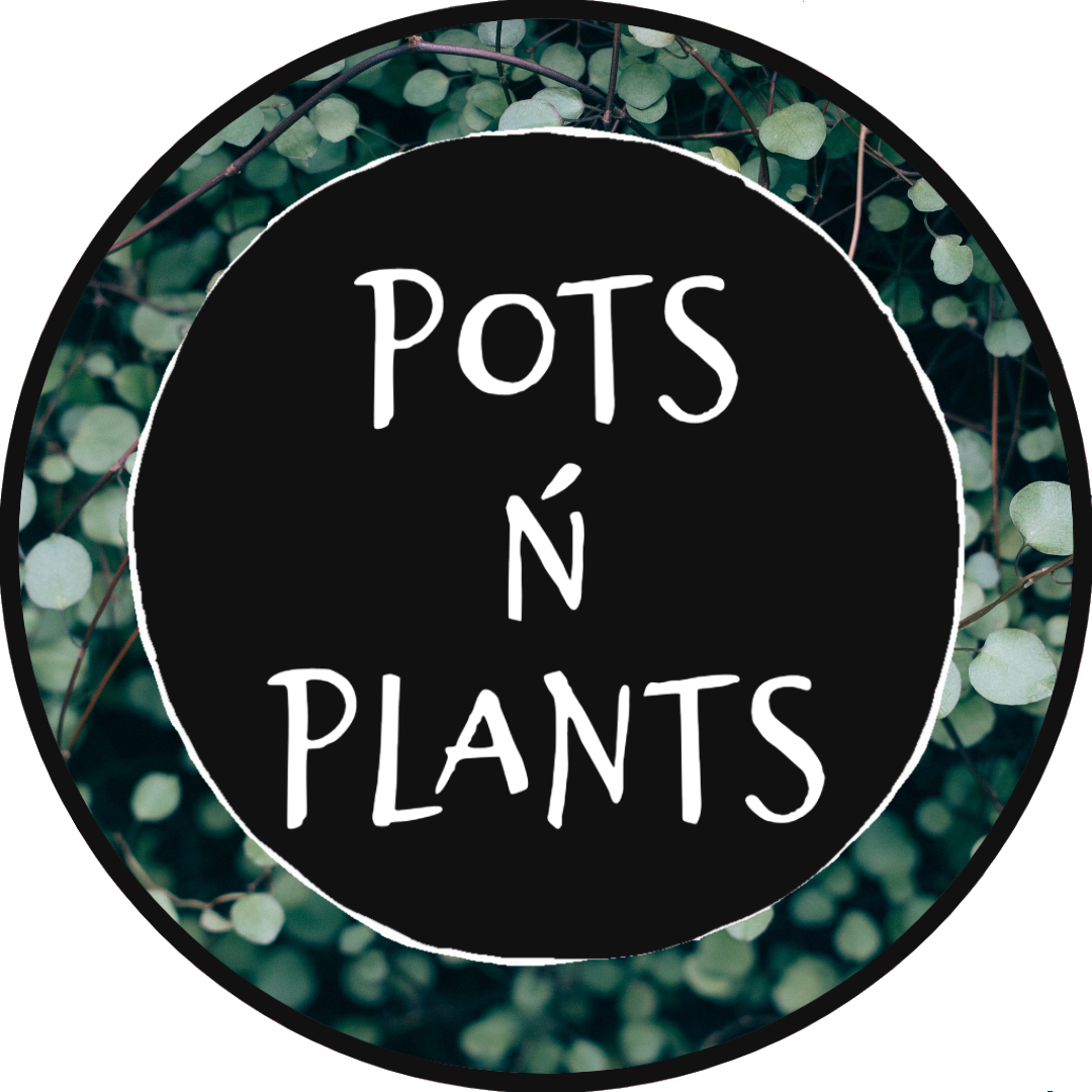 potsnplants.pk